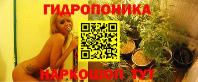 PSILOCYBIN Обь