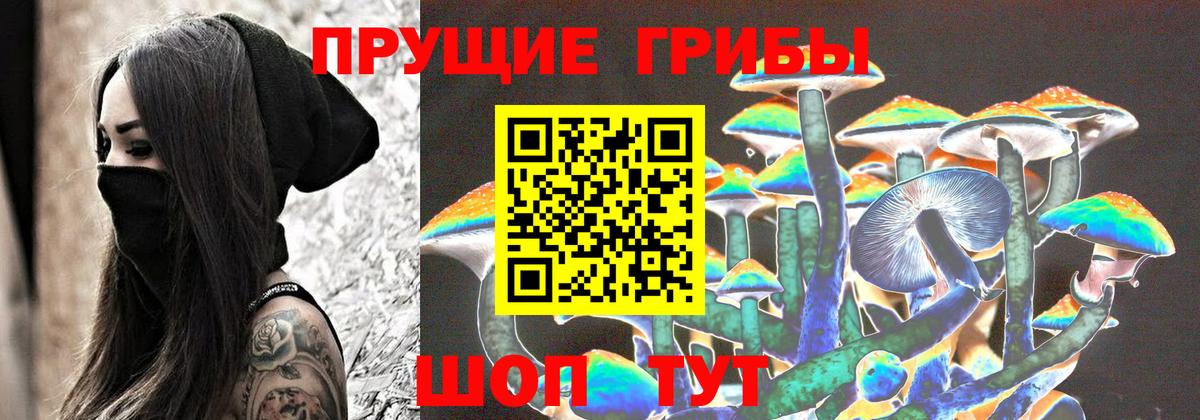 Псилоцибиновые грибы мицелий Дюртюли