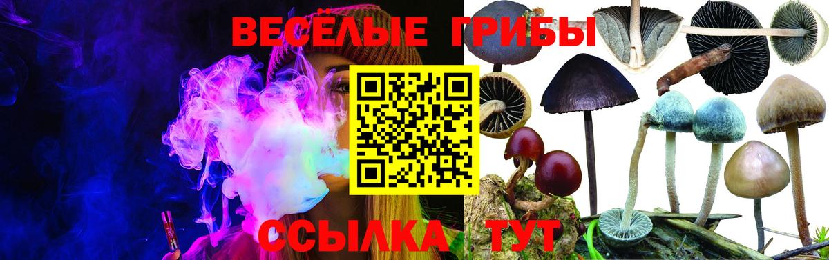Дюртюли  купить   Вход с VPN  Галлюциногенные грибы мицелий 